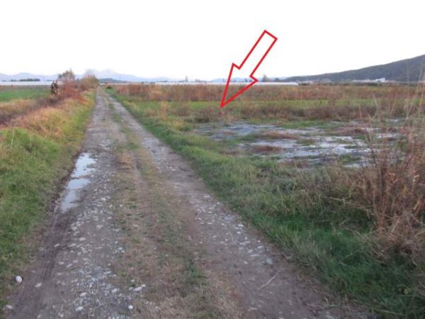 Shkoder, Komac Shitet Toke Are 4.796 m², 2.048.000 Leke