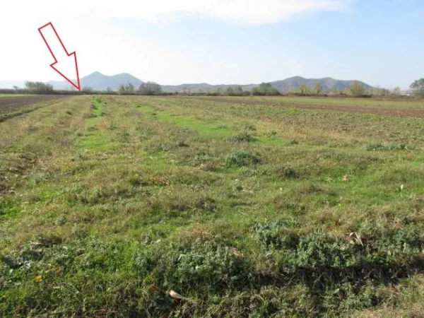 Shkoder, Stajke Shitet Toke Are 4.020 m², Cmimi Fillestar 1.440.640 Leke