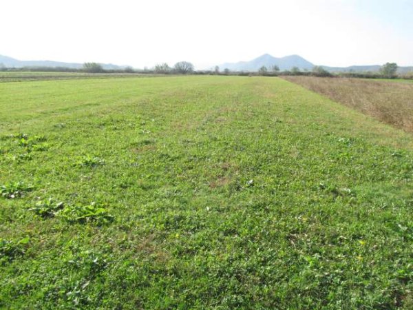 Shkoder, Stajke Shitet Toke Are 4.020 m² 1.440.640 Leke