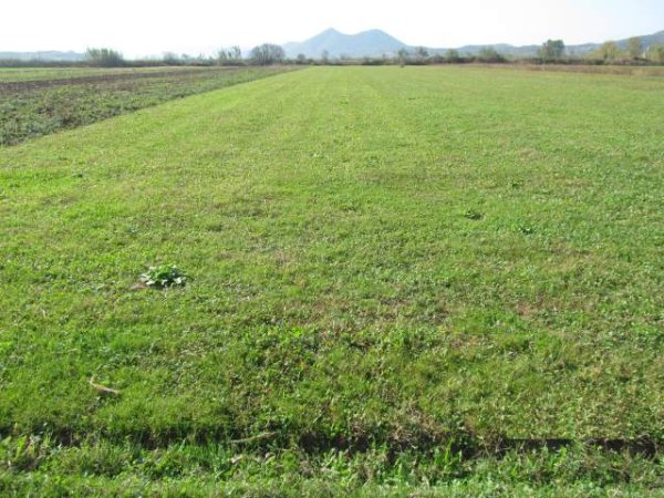 Shkoder, Stajke Shitet Toke Are 4.020 m² 1.440.640 Leke