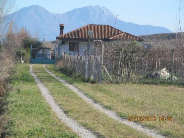 Shkoder, Rranxa Shitet Toke Are 891 m², 784.000 Leke