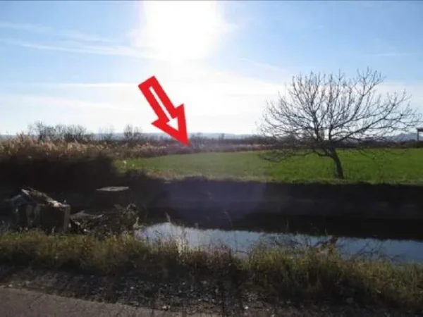 Shkoder, Mjede Shitet Toke Are 2.000 m², Cmimi Fillestar 1,028,000 Leke