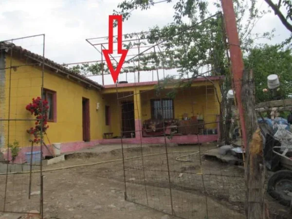 Shkoder, Bleran Shitet Truall, Ndertese dhe Pemtore, Cmimi Fillesar 1.280.000 Leke