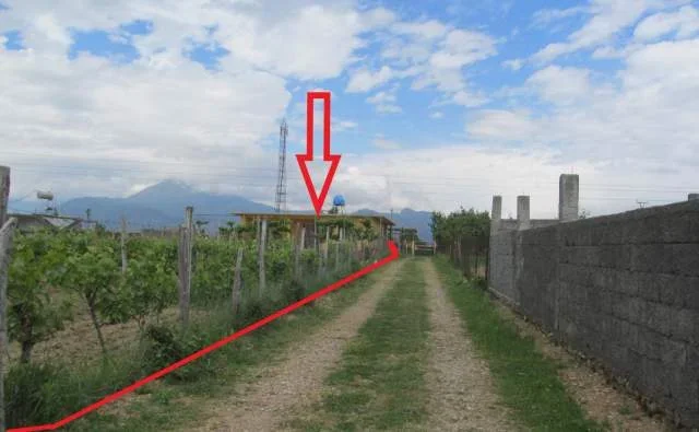 Shkoder, Bleran Shitet Truall, Ndertese dhe Pemtore, Cmimi Fillesar 1.280.000 Leke