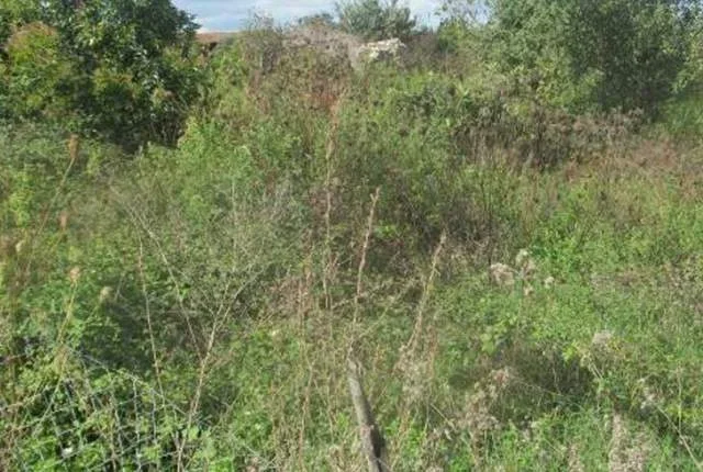 Fushe Kruje, Shitet Truall 300 m² dhe Ndertese 100 m², Cmimi Fillestar 1,080,000 Leke