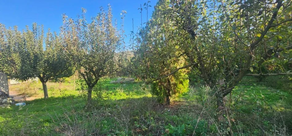 Tirane, shitet toke , 5.930 m² 296.500 € (Baldushk)