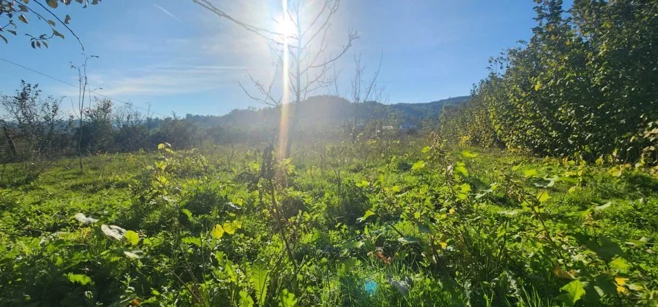 Tirane, shitet toke , 5.930 m² 296.500 € (Baldushk)