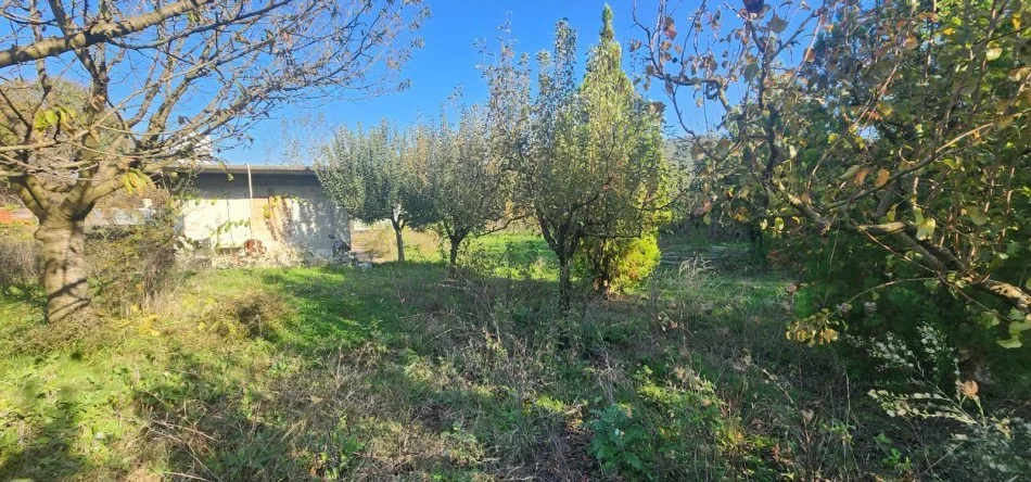 Tirane, shitet toke , 5.930 m² 296.500 € (Baldushk)