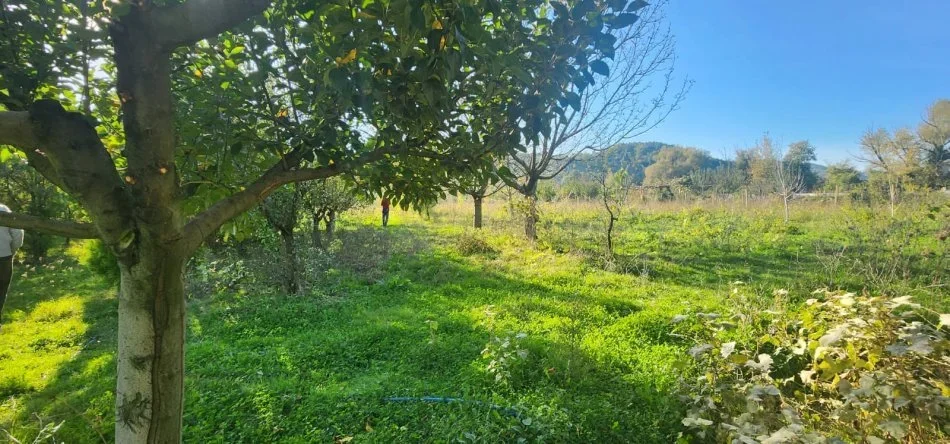 Tirane, shitet toke , 5.930 m² 296.500 € (Baldushk)