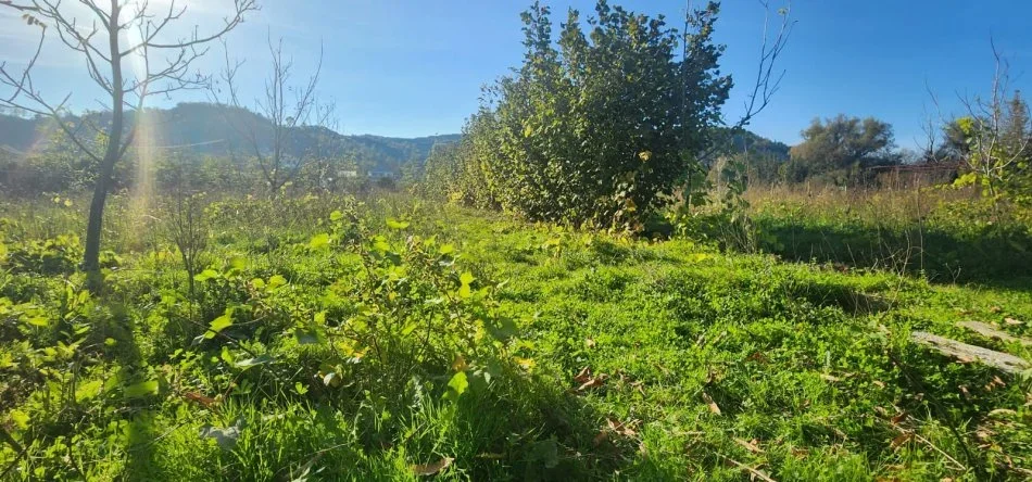 Tirane, shitet toke , 5.930 m² 296.500 € (Baldushk)