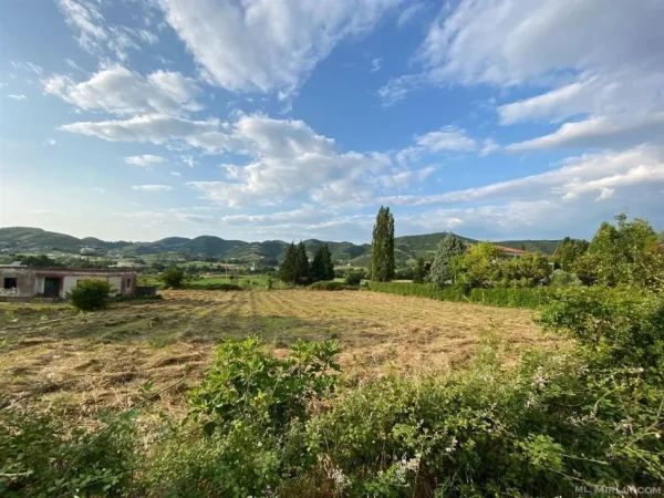 Tirane, shitet truall , 1.250 m² (Vishnje)