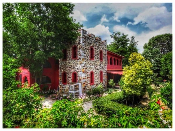 Tirane, shitet bar-resorant Kati 0, 800 m² 400.000 € (Peze e vogel)