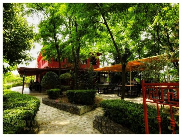 Tirane, shitet bar-resorant Kati 0, 800 m² 400.000 € (Peze e vogel)
