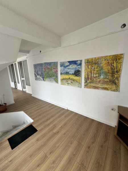 Tirane, jepet me qera Vile 3 Katshe Kati 3, 201 m² 750 € (ali demi)