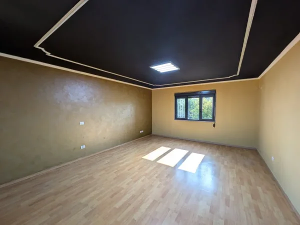 Tirane, Ambient biznesi me qira 70 m nga sheshi Skenderbej