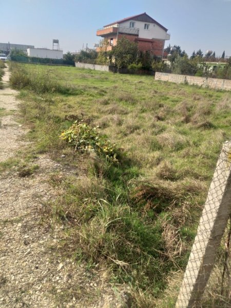 Tirane, shes , 600 m² 65.000 € 