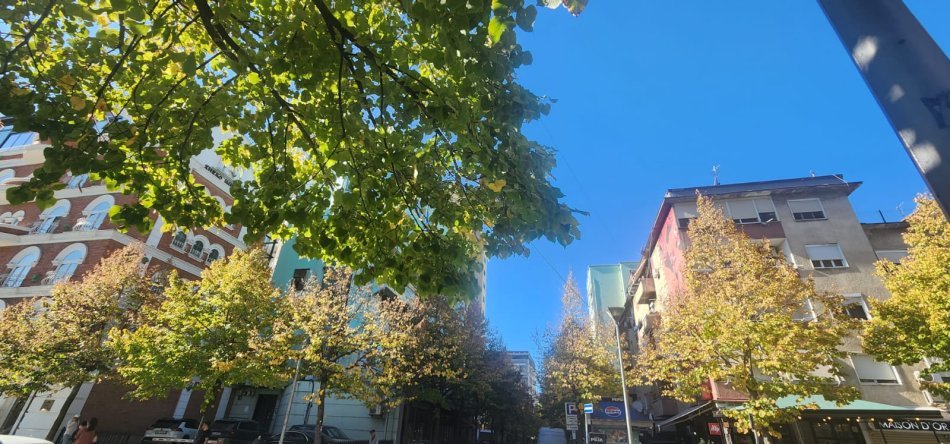 Tirane, shitet ambjent biznesi Kati 0, (Bllok)