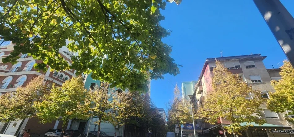 Tirane, shitet ambjent biznesi Kati 0, (Bllok)