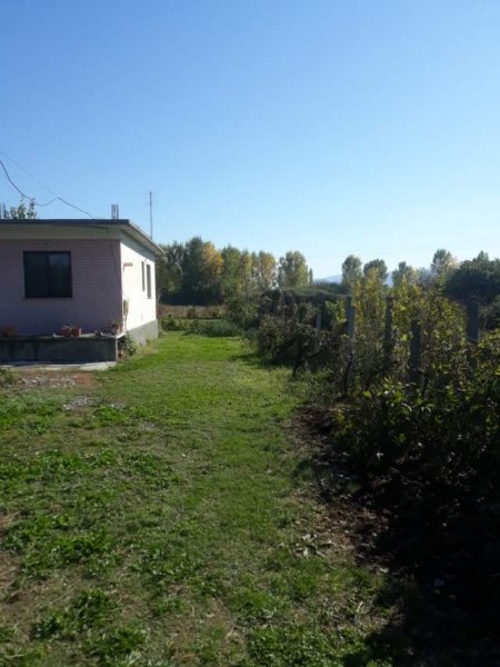 Shkoder, Barbullush Shitet Toke Are 2.400 m², Cmimi Fillestar 604.800 Leke