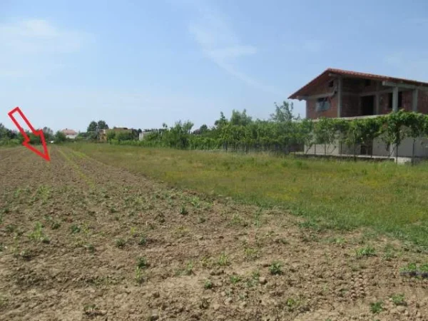 Lezhe, Shitet Toke Are 1.750 m², Cmimi Referues 8,750,000 Leke (Gryke Lumi)