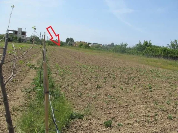 Lezhe, Shitet Toke Are 1.750 m², Cmimi Referues 8,750,000 Leke (Gryke Lumi)