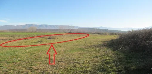 Lezhe, Shitet Tokë Arë 2.905 m², Cmimi Fillestar 1,140,000 Leke