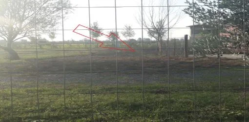 Lezhe, Shitet Tokë Arë 4.940 m², Cmimi Fillestar 5.317.728 Leke (Markatomaj)