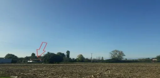 Lezhe, Shitet Tokë Arë 2,000 m2, Cmimi Fillestar 2.772.000 Leke (Tale 2)