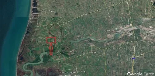 Lezhe, Shitet Tokë Arë 2,000 m2, Cmimi Fillestar 2.772.000 Leke (Tale 2)