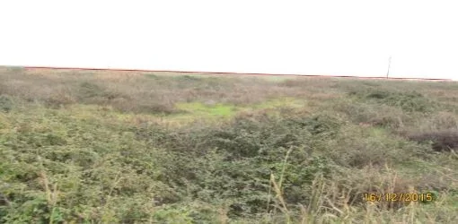 Fier, Mbrostar Ura Shitet Toke Are 9.310 m², Cmimi Fillestar 11,693,062