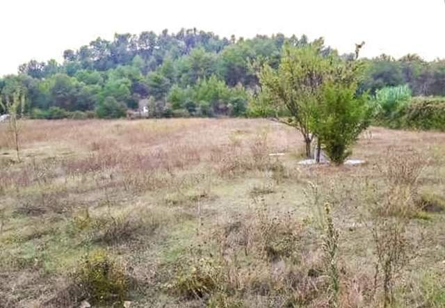Tirane, shes toke 2.800 m² 19.600.000 Leke