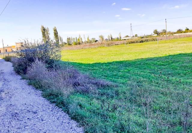 Tirane, shes toke 5.000 m² 200.000 Euro