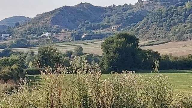 Tirane, shes toke 8.100 m² 50 Euro/m2