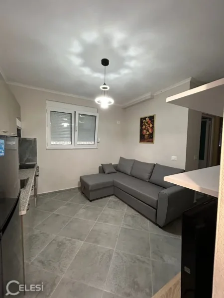 Tirane, jepet me qera shtepi 1+1 Kati 1, 45 m² 350 € (rruga Xhon Belushi)