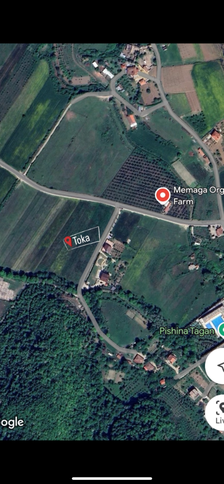 Tirane, shitet toke , 10.000 m² 700.000 € (Tagan, Petrele)