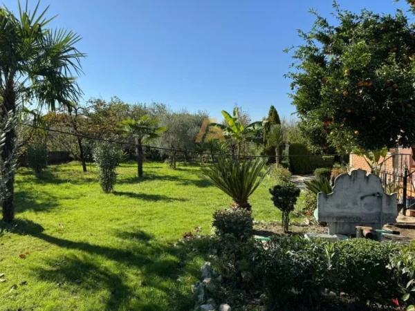 Tirane, jepet me qera truall , 2.000 m² (Valias, Kamez)