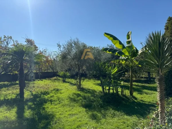 Tirane, jepet me qera truall , 2.000 m² (Valias, Kamez)