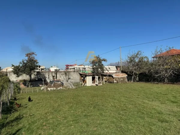 Tirane, jepet me qera truall , 2.000 m² (Valias, Kamez)