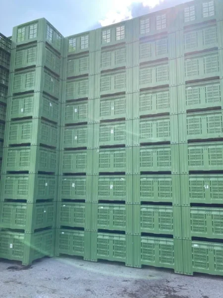 KOSHA PLASTIK USHQIMOR