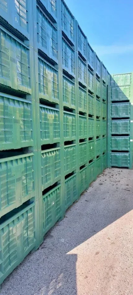 KOSHA PLASTIK USHQIMOR