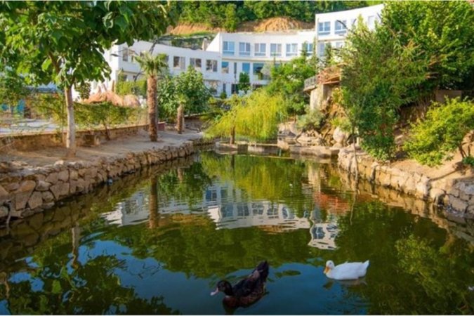 Tirane, shitet Dublex , 217.000 €