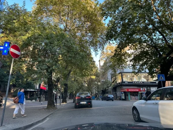 Tirane, shitet  Biznes Restorant Peshku Kati 0, 86 m² 65.000 € (Myslym Shyri)