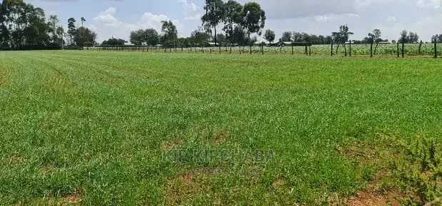 Tirane, shitet toke , 1.200 m² 75.000 € (Kashar)