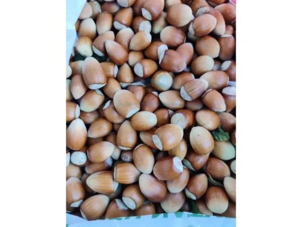 Korce, shitet toke , 30.000 m² 300.000 € (Km 3 Korcë - Bilisht)