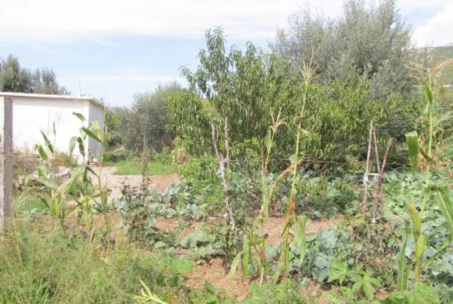 Lezhe, Shitet Truall 300 m² + Ndertese 110 m², Cmimi Fillestar 950.400 Leke (Spiten)