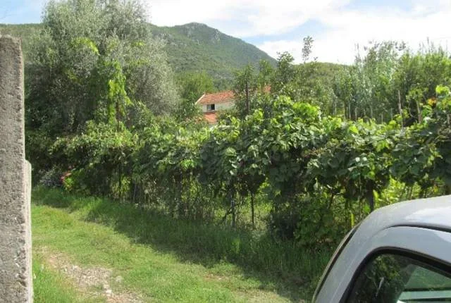 Lezhe, Shitet Truall 300 m² + Ndertese 110 m², Cmimi Fillestar 950.400 Leke (Spiten)