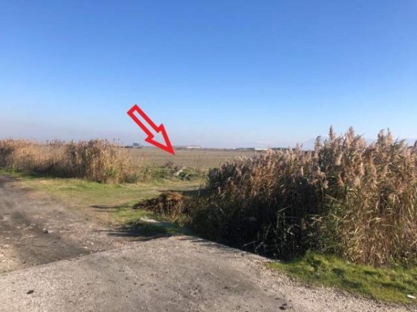 Fier, Mbrostar Ura Shitet Toke Are 6.789 m², Cmimi Referues 15,000,000 Leke