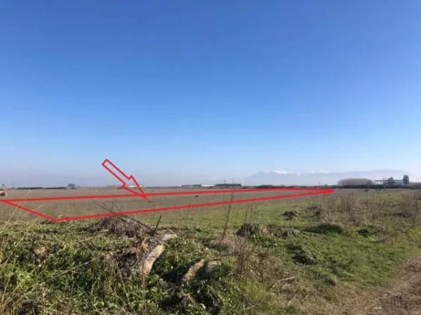 Fier, Mbrostar Ura Shitet Toke Are 6.789 m², Cmimi Referues 15,000,000 Leke