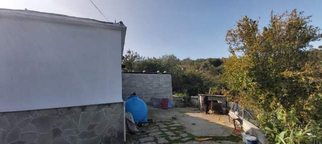 Tepelene, Memaliaj Shitet Truall 300 m² dhe Ndertese 88 m², 670.320 Leke