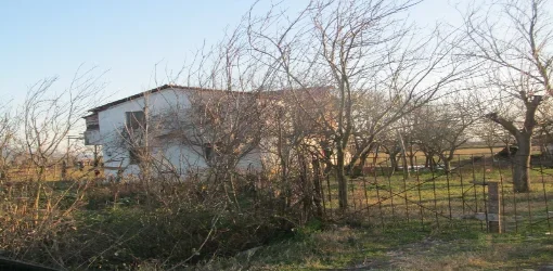 Shitet Toke Are 10,000 m², Cmimi Fillestar 4,033,800 Leke (Fush-Mamurras, Kurbin)